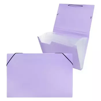 Папка картотека а4, calligrata