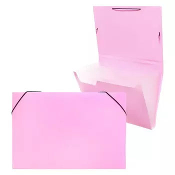 Папка картотека а4, calligrata