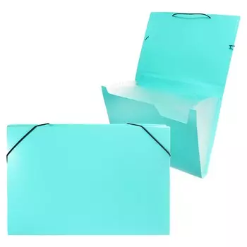 Папка картотека а4, calligrata