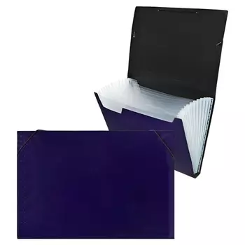 Папка картотека а4, calligrata top deluxe, 13 отделений, пластиковая, 1000 мкм, черничная