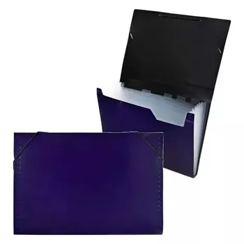 Папка картотека а4, calligrata top deluxe, 6 отделений, пластиковая, 1000 мкм, черничная