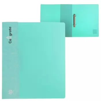 Папка на 2 кольцах а4 calligrata, 40мм, 700мкм, карман на торце, ледяной зеленый