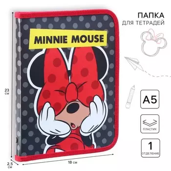 Папка пластиковая для тетрадей а5, на молнии,