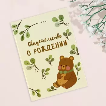 Папка под свидетельство о рождении