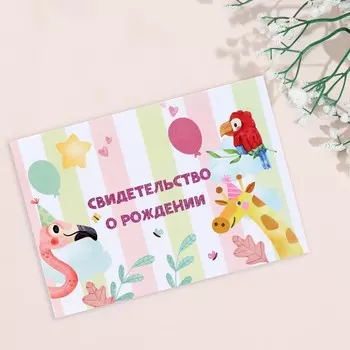 Папка под свидетельство о рождении