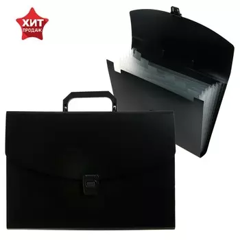 Папка-портфель а4 calligrata, 6 отделений, 700мкм, до 300 листов, черная