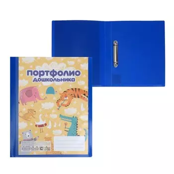 Папка-портфолио а4, calligrata