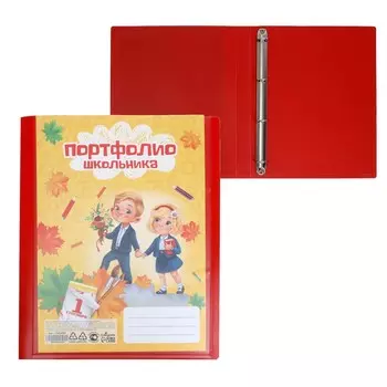 Папка-портфолио а4, calligrata