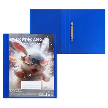 Папка-портфолио а4, calligrata