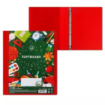 Папка-портфолио а4, calligrata