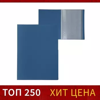 Папка с 10 вкладышами а4, 500 мкм, calligrata, текстура