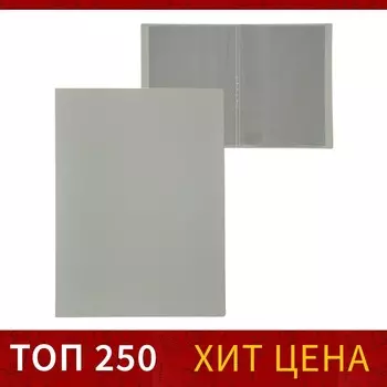 Папка с 10 вкладышами а4, 500 мкм, calligrata, текстура