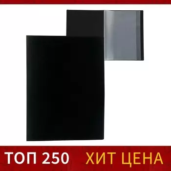 Папка с 10 вкладышами а4, 500 мкм, calligrata, текстура