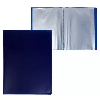 Папка с 20 вкладышами а4, 500 мкм, calligrata, черничная