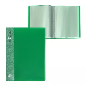 Папка с 20 вкладышами а4, 600 мкм, calligrata, 15 мм, зеленая