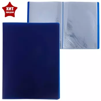 Папка с 30 вкладышами а4, 500 мкм, calligrata, черничная