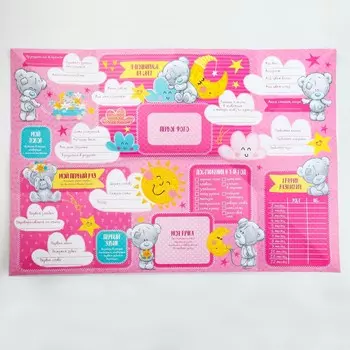 Папка с плакатом для новорожденного