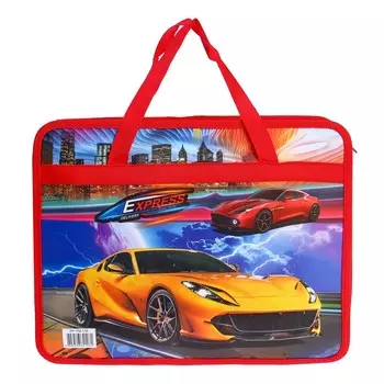 Папка с ручками пластиковая а4, 37 х 22 х 5 см