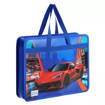 Папка с ручками пластиковая а4, 37 х 22 х 5 см