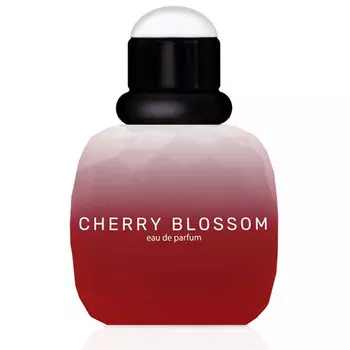 Парфюмерная вода для женщин 'lost