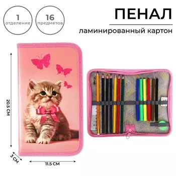 Пенал 1 секция 115*205 наполн. лам.карт 30п26/set calligrata 16предм дев