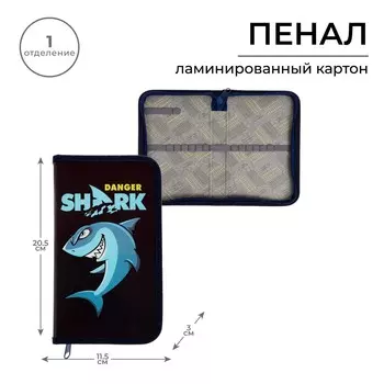 Пенал школьный, 1 секция, 11.520.53 см