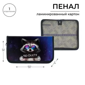 Пенал 1 секция 115 х 205 х 30 мм, calligrata