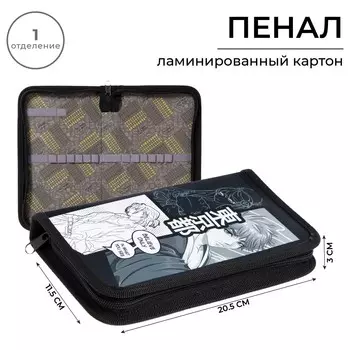 Пенал школьный, 1 секция, 11.520.53 см