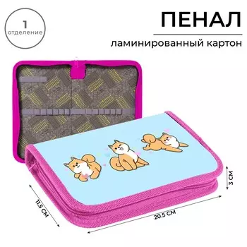 Пенал 1 секция 115 х 205 х 30 мм, calligrata