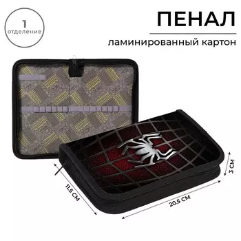 Пенал 1 секция 115 х 205 х 30 мм, calligrata