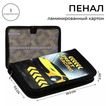 Пенал 1 секция 115 х 205 х 30 мм, calligrata