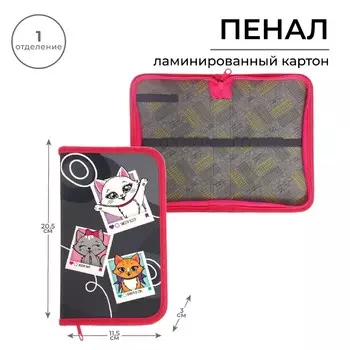 Пенал 1 секция 115 х 205 х 30 мм, calligrata