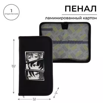 Пенал школьный, 1 секция, 11.520.53 см