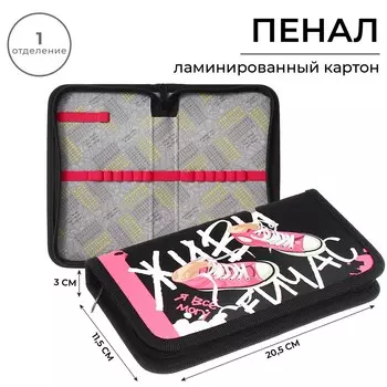 Пенал школьный, 1 секция, 11.520.53 см