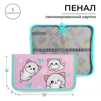 Пенал 1 секция 115 х 205 х 30 мм, calligrata