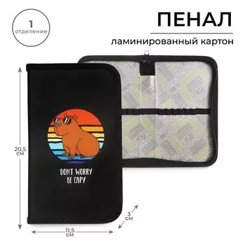 Пенал школьный, 1 секция, 11.520.53 см, be capy