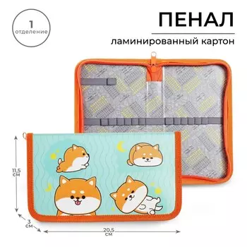 Пенал 1 секция 115 х 205 х 30 мм, calligrata