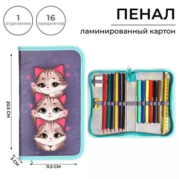 Пенал 1 секция, 115 х 205 мм, с наполнением 16 предметов, calligrata