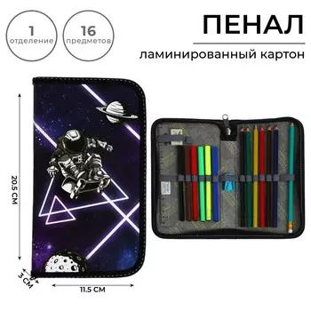 Пенал 1 секция, 115 х 205 мм, с наполнением 16 предметов, calligrata