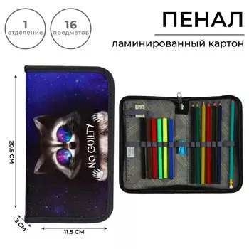 Пенал 1 секция, 115 х 205 мм, с наполнением 16 предметов, calligrata