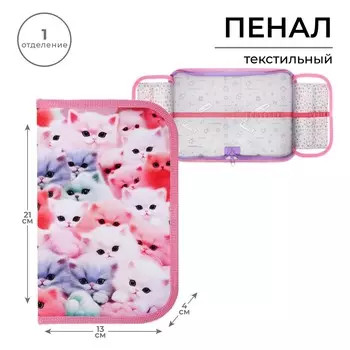 Пенал школьный, 1 секция, 13214 см