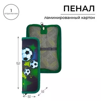 Пенал 1 секция, 55 х 205 х 25 мм, calligrata