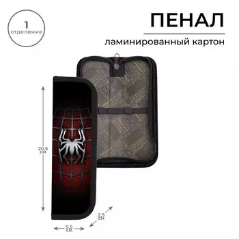 Пенал 1 секция, 55 х 205 х 25 мм, calligrata