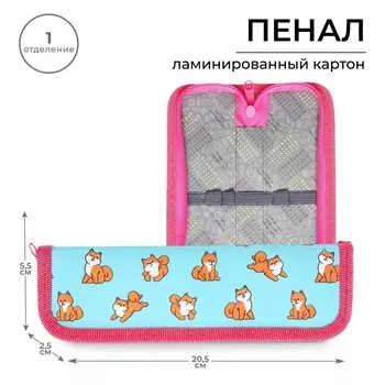 Пенал школьный, 1 секция, 5.520.52.5 см