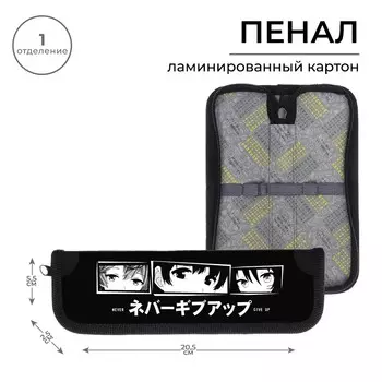 Пенал 1 секция, 55 х 205 х 25 мм, calligrata