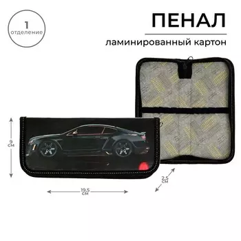 Пенал школьный, 1 секция, 919.52.5 см