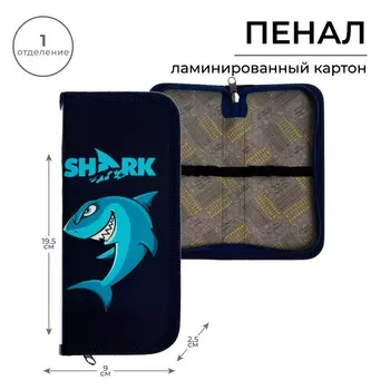 Пенал 1 секция, 90 х 195 х 25 мм, calligrata