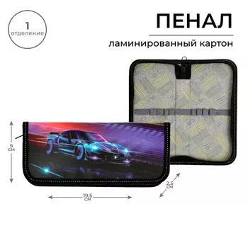 Пенал 1 секция, 90 х 195 х 25 мм, calligrata