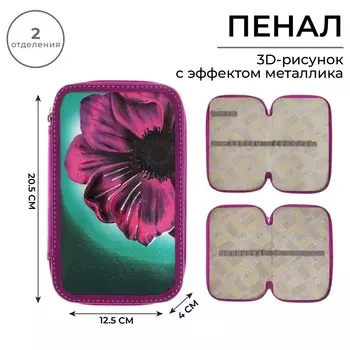 Пенал школьный, 2 секции, 12.520.54 см