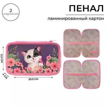 Пенал школьный, 2 секции, 12.520.54 см